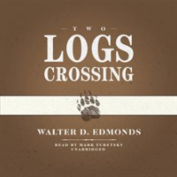 Two_Logs_Crossing